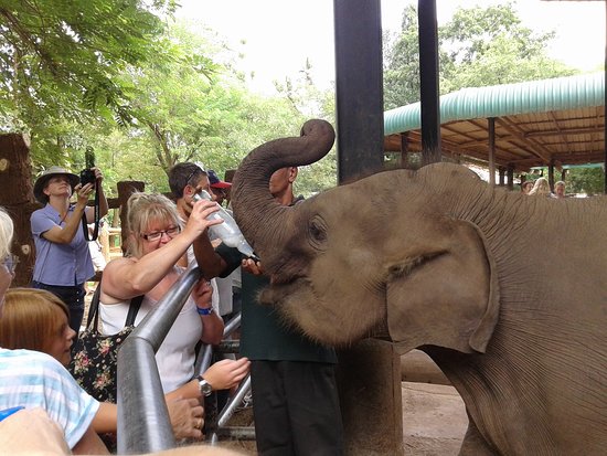 Private Sri Lanka Tour with Ceylon JOJO Travels