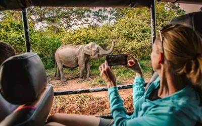 Yala National Park Safari Sri Lanka